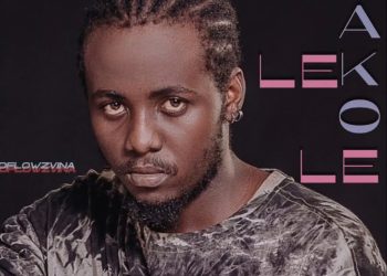 DOWNLOAD Dflowz Vina – Kelele Zako mp3