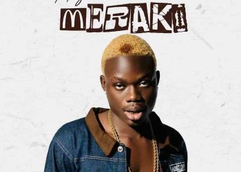 DOWNLOAD Indriza – Ayomide mp3