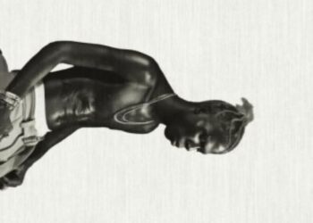 DOWNLOAD Seyi Vibez – SHAOLIN mp3