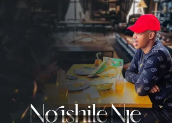 DOWNLOAD Ngishile Nje by Njabulo Langa mp3