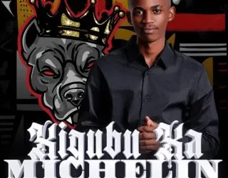 DOWNLOAD Matumza – Xigubu Xa Michelin ft Top Dawg MH mp3