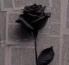 DOWNLOAD Marioo – Dear Mama mp3