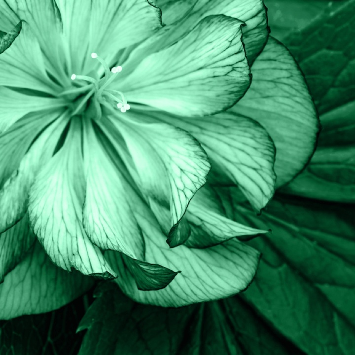 Healing music of love frequency 528Hz (1288586)
Healing Music Lab