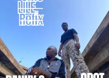 Danny S – Omo Lile (Refix) Ft. Qdot
