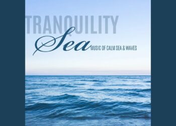 Sea Dreams Music Universe Seagulls & Sea mp3 download