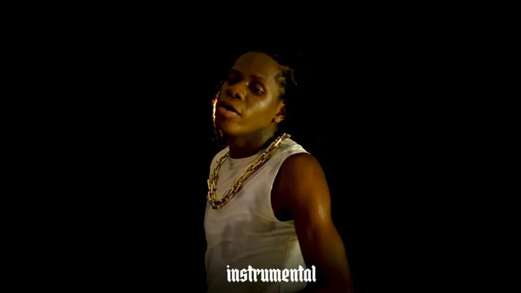 DOWNLOAD Dogo Rema – Hapo Vp mp3